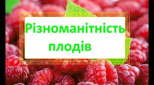 Плід. Різноманітність плодів.