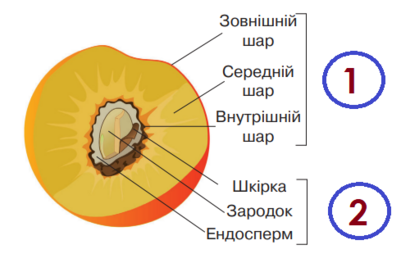 0401p8f4-c607-401x254.png