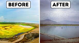 Water pollution, environment, video lesson