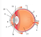 0401pdaz-30d4-116x106.png