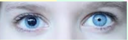 0401pgdi-d6ba-442x140.png