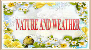 Nature and weather