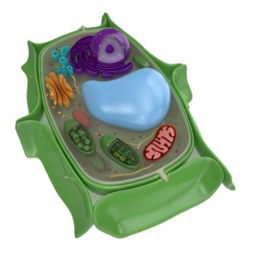 0401phgh-8e93-254x254.png