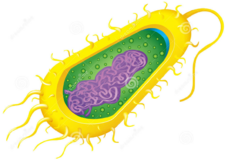 0401phmj-f276-228x161.png