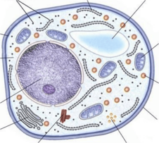 0401phni-9a8e-226x203.png