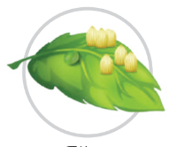 0401pip8-c408-199x166.png
