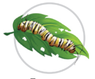 0401piq0-9544-196x163.png