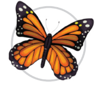 0401pir7-571d-196x168.png