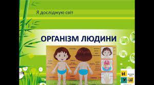 Організм людини
