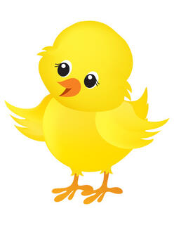 Illustration D'un Petit Poussin Mignon De Pâques Jaune Isolé Sur Fond Blanc Clip Art Libres De Droits , Svg , Vecteurs Et Illustration. Image 38550691.