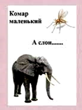 0401pnn2-0f44-263x352.png