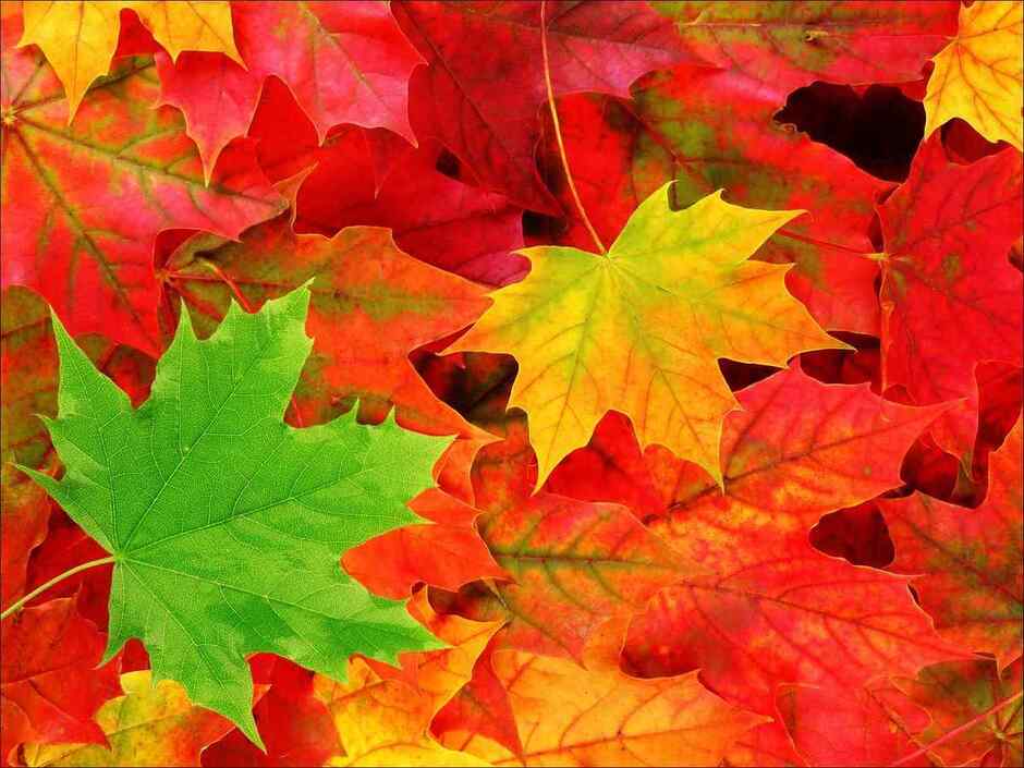 0401pno0-a10a-940x705.jpg