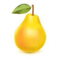 Pear Изображения – скачать бесплатно на Freepik