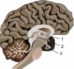0401po2x-7a47-151x141.png