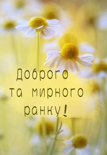 0401poeo-bdce-366x529.jpg