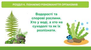 Водорості та спорові рослини: хто у воді, а хто на суходолі
