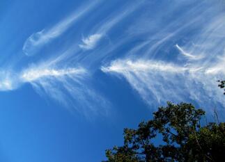 0401pt6o-20f4-323x233.jpg