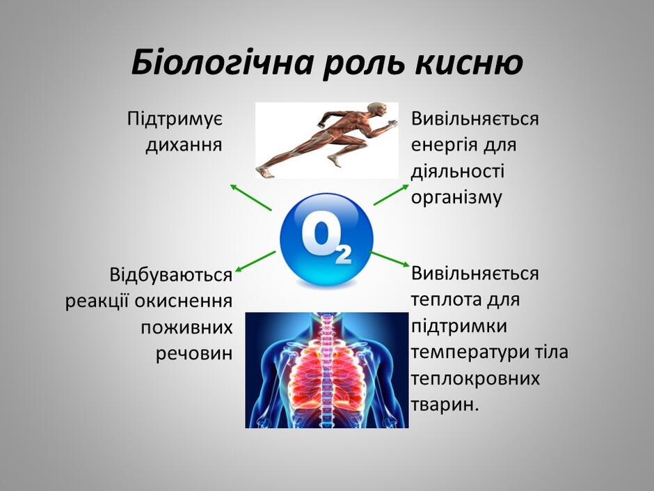 0401q0ks-844d-940x705.jpg