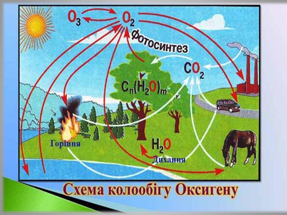 0401q0l0-7b4d-940x705.jpg