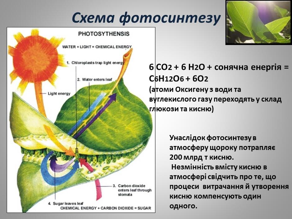 0401q0l5-f462-940x705.jpg