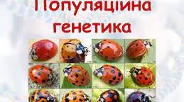 Популяційна генетика 10А