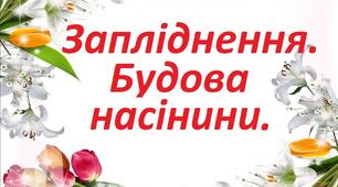 6 клас. Запліднення, будова насінини.