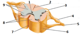 0401q2kp-4371-258x110.png