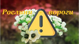 "Рослини - вороги" - презентація