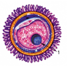 0401q54r-9aab-230x230.png