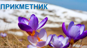 Прикметник як частина мови
