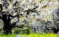 0401q8q9-da91-192x120.jpg