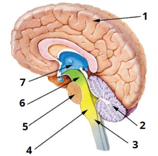 0401qdew-5d84-313x308.png