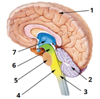 0401qdqd-7814-203x200.png
