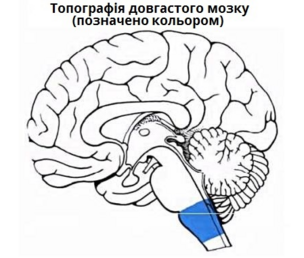 0401qdvb-ee9b-304x258.png