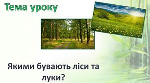 Якими бувають ліси та луки?