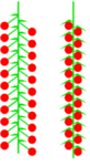 0401qiek-5af6-82x150.png
