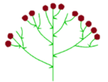 0401qiz5-7663-153x116.png