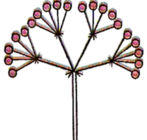 0401qj0g-5ba1-147x140.png