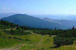 0401qpmq-d714-263x175.jpg