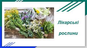 "Лікарські  рослини"  -  презентація