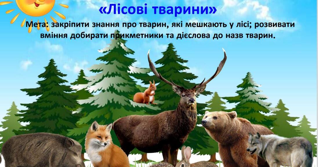 Дидактична гра «Лісові тварини» | Ілюстрації. Дидактичні матеріали