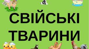 Свійські тварини