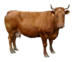 0401qxa0-7d64-74x62.png