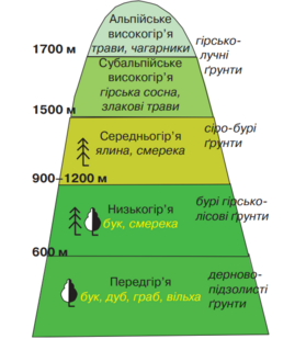 0401qxbr-5010-279x309.png
