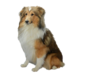 0401qxfh-94d5-88x74.png