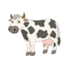 0401qxfp-4155-110x93.png