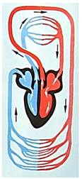 0401qy3i-66dd-116x252.png