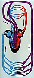 0401qy47-e9cb-113x256.png
