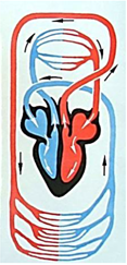 0401qy5j-95ac-117x243.png