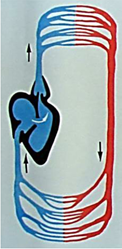 0401qy5y-569d-122x249.png